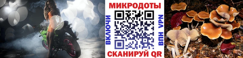 Купить где  Котельники  Галлюциногенные грибы Psilocybe 